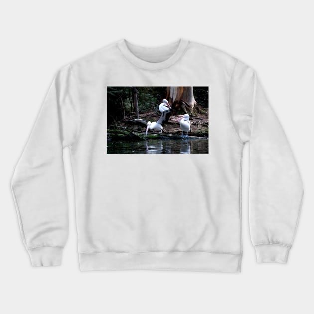 Call That A Take Off! Crewneck Sweatshirt by GP1746